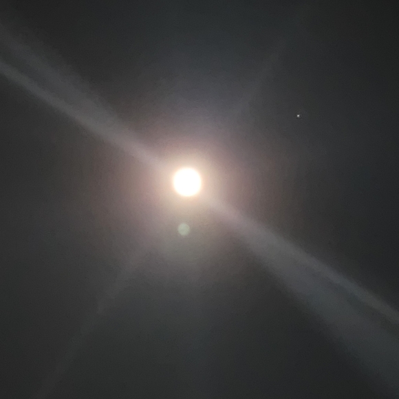 Meet your Posher, G - Picture 2 of 3